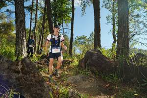 BIB: 
                            <button type="button" onclick="openModal(18936030)" class="btn btn-primary btn-sm float-right btn-popup" data-toggle="modal" data-target=".modal-high-quality">
                        <i class="fas fa-shopping-cart"></i> Add to Cart
                    </button>
                                            <button type="button" onclick="isThisMe(18936030, true)" class="btn btn-success btn-sm float-right btn-popup btn-isme hidden" data-toggle="tooltip" data-placement="bottom" title="นี่คือรูปของคุณใช่ไหม คลิกที่นี่เพื่อเอาเข้าอัลบั้ม">
                        <i class="fas fa-plus"></i> Add to album
                    </button>
                    <button type="button" onclick="isThisMe(18936030, false)" class="btn btn-warning btn-sm float-right btn-popup btn-isnotme hidden">
                        <i class="fas fa-ban"></i> Remove from album
                    </button>