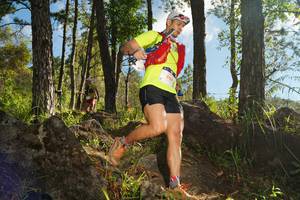 BIB: 5164
                            <button type="button" onclick="openModal(18939854)" class="btn btn-primary btn-sm float-right btn-popup" data-toggle="modal" data-target=".modal-high-quality">
                        <i class="fas fa-shopping-cart"></i> Add to Cart
                    </button>
                                            <button type="button" onclick="isThisMe(18939854, true)" class="btn btn-success btn-sm float-right btn-popup btn-isme hidden" data-toggle="tooltip" data-placement="bottom" title="นี่คือรูปของคุณใช่ไหม คลิกที่นี่เพื่อเอาเข้าอัลบั้ม">
                        <i class="fas fa-plus"></i> Add to album
                    </button>
                    <button type="button" onclick="isThisMe(18939854, false)" class="btn btn-warning btn-sm float-right btn-popup btn-isnotme hidden">
                        <i class="fas fa-ban"></i> Remove from album
                    </button>