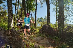 BIB: 
                            <button type="button" onclick="openModal(18935720)" class="btn btn-primary btn-sm float-right btn-popup" data-toggle="modal" data-target=".modal-high-quality">
                        <i class="fas fa-shopping-cart"></i> Add to Cart
                    </button>
                                            <button type="button" onclick="isThisMe(18935720, true)" class="btn btn-success btn-sm float-right btn-popup btn-isme hidden" data-toggle="tooltip" data-placement="bottom" title="นี่คือรูปของคุณใช่ไหม คลิกที่นี่เพื่อเอาเข้าอัลบั้ม">
                        <i class="fas fa-plus"></i> Add to album
                    </button>
                    <button type="button" onclick="isThisMe(18935720, false)" class="btn btn-warning btn-sm float-right btn-popup btn-isnotme hidden">
                        <i class="fas fa-ban"></i> Remove from album
                    </button>