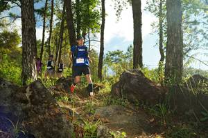 BIB: 
                            <button type="button" onclick="openModal(18916594)" class="btn btn-primary btn-sm float-right btn-popup" data-toggle="modal" data-target=".modal-high-quality">
                        <i class="fas fa-shopping-cart"></i> Add to Cart
                    </button>
                                            <button type="button" onclick="isThisMe(18916594, true)" class="btn btn-success btn-sm float-right btn-popup btn-isme hidden" data-toggle="tooltip" data-placement="bottom" title="นี่คือรูปของคุณใช่ไหม คลิกที่นี่เพื่อเอาเข้าอัลบั้ม">
                        <i class="fas fa-plus"></i> Add to album
                    </button>
                    <button type="button" onclick="isThisMe(18916594, false)" class="btn btn-warning btn-sm float-right btn-popup btn-isnotme hidden">
                        <i class="fas fa-ban"></i> Remove from album
                    </button>