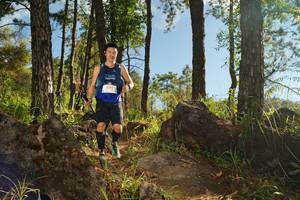 BIB: 3195
                            <button type="button" onclick="openModal(18936528)" class="btn btn-primary btn-sm float-right btn-popup" data-toggle="modal" data-target=".modal-high-quality">
                        <i class="fas fa-shopping-cart"></i> Add to Cart
                    </button>
                                            <button type="button" onclick="isThisMe(18936528, true)" class="btn btn-success btn-sm float-right btn-popup btn-isme hidden" data-toggle="tooltip" data-placement="bottom" title="นี่คือรูปของคุณใช่ไหม คลิกที่นี่เพื่อเอาเข้าอัลบั้ม">
                        <i class="fas fa-plus"></i> Add to album
                    </button>
                    <button type="button" onclick="isThisMe(18936528, false)" class="btn btn-warning btn-sm float-right btn-popup btn-isnotme hidden">
                        <i class="fas fa-ban"></i> Remove from album
                    </button>