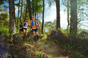 BIB: 
                            <button type="button" onclick="openModal(18935028)" class="btn btn-primary btn-sm float-right btn-popup" data-toggle="modal" data-target=".modal-high-quality">
                        <i class="fas fa-shopping-cart"></i> Add to Cart
                    </button>
                                            <button type="button" onclick="isThisMe(18935028, true)" class="btn btn-success btn-sm float-right btn-popup btn-isme hidden" data-toggle="tooltip" data-placement="bottom" title="นี่คือรูปของคุณใช่ไหม คลิกที่นี่เพื่อเอาเข้าอัลบั้ม">
                        <i class="fas fa-plus"></i> Add to album
                    </button>
                    <button type="button" onclick="isThisMe(18935028, false)" class="btn btn-warning btn-sm float-right btn-popup btn-isnotme hidden">
                        <i class="fas fa-ban"></i> Remove from album
                    </button>