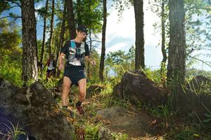 BIB: 
                            <button type="button" onclick="openModal(18934241)" class="btn btn-primary btn-sm float-right btn-popup" data-toggle="modal" data-target=".modal-high-quality">
                        <i class="fas fa-shopping-cart"></i> Add to Cart
                    </button>
                                            <button type="button" onclick="isThisMe(18934241, true)" class="btn btn-success btn-sm float-right btn-popup btn-isme hidden" data-toggle="tooltip" data-placement="bottom" title="นี่คือรูปของคุณใช่ไหม คลิกที่นี่เพื่อเอาเข้าอัลบั้ม">
                        <i class="fas fa-plus"></i> Add to album
                    </button>
                    <button type="button" onclick="isThisMe(18934241, false)" class="btn btn-warning btn-sm float-right btn-popup btn-isnotme hidden">
                        <i class="fas fa-ban"></i> Remove from album
                    </button>