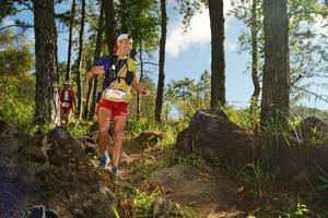 BIB: 3160
                            <button type="button" onclick="openModal(18940220)" class="btn btn-primary btn-sm float-right btn-popup" data-toggle="modal" data-target=".modal-high-quality">
                        <i class="fas fa-shopping-cart"></i> Add to Cart
                    </button>
                                            <button type="button" onclick="isThisMe(18940220, true)" class="btn btn-success btn-sm float-right btn-popup btn-isme hidden" data-toggle="tooltip" data-placement="bottom" title="นี่คือรูปของคุณใช่ไหม คลิกที่นี่เพื่อเอาเข้าอัลบั้ม">
                        <i class="fas fa-plus"></i> Add to album
                    </button>
                    <button type="button" onclick="isThisMe(18940220, false)" class="btn btn-warning btn-sm float-right btn-popup btn-isnotme hidden">
                        <i class="fas fa-ban"></i> Remove from album
                    </button>