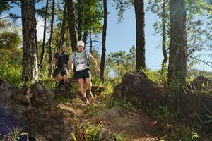 BIB: 
                            <button type="button" onclick="openModal(18937448)" class="btn btn-primary btn-sm float-right btn-popup" data-toggle="modal" data-target=".modal-high-quality">
                        <i class="fas fa-shopping-cart"></i> Add to Cart
                    </button>
                                            <button type="button" onclick="isThisMe(18937448, true)" class="btn btn-success btn-sm float-right btn-popup btn-isme hidden" data-toggle="tooltip" data-placement="bottom" title="นี่คือรูปของคุณใช่ไหม คลิกที่นี่เพื่อเอาเข้าอัลบั้ม">
                        <i class="fas fa-plus"></i> Add to album
                    </button>
                    <button type="button" onclick="isThisMe(18937448, false)" class="btn btn-warning btn-sm float-right btn-popup btn-isnotme hidden">
                        <i class="fas fa-ban"></i> Remove from album
                    </button>