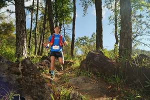 BIB: 3034
                            <button type="button" onclick="openModal(18937241)" class="btn btn-primary btn-sm float-right btn-popup" data-toggle="modal" data-target=".modal-high-quality">
                        <i class="fas fa-shopping-cart"></i> Add to Cart
                    </button>
                                            <button type="button" onclick="isThisMe(18937241, true)" class="btn btn-success btn-sm float-right btn-popup btn-isme hidden" data-toggle="tooltip" data-placement="bottom" title="นี่คือรูปของคุณใช่ไหม คลิกที่นี่เพื่อเอาเข้าอัลบั้ม">
                        <i class="fas fa-plus"></i> Add to album
                    </button>
                    <button type="button" onclick="isThisMe(18937241, false)" class="btn btn-warning btn-sm float-right btn-popup btn-isnotme hidden">
                        <i class="fas fa-ban"></i> Remove from album
                    </button>