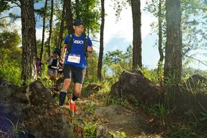 BIB: 6466
                            <button type="button" onclick="openModal(18916633)" class="btn btn-primary btn-sm float-right btn-popup" data-toggle="modal" data-target=".modal-high-quality">
                        <i class="fas fa-shopping-cart"></i> Add to Cart
                    </button>
                                            <button type="button" onclick="isThisMe(18916633, true)" class="btn btn-success btn-sm float-right btn-popup btn-isme hidden" data-toggle="tooltip" data-placement="bottom" title="นี่คือรูปของคุณใช่ไหม คลิกที่นี่เพื่อเอาเข้าอัลบั้ม">
                        <i class="fas fa-plus"></i> Add to album
                    </button>
                    <button type="button" onclick="isThisMe(18916633, false)" class="btn btn-warning btn-sm float-right btn-popup btn-isnotme hidden">
                        <i class="fas fa-ban"></i> Remove from album
                    </button>