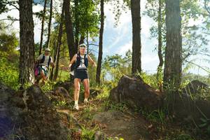 BIB: 
                            <button type="button" onclick="openModal(18933392)" class="btn btn-primary btn-sm float-right btn-popup" data-toggle="modal" data-target=".modal-high-quality">
                        <i class="fas fa-shopping-cart"></i> Add to Cart
                    </button>
                                            <button type="button" onclick="isThisMe(18933392, true)" class="btn btn-success btn-sm float-right btn-popup btn-isme hidden" data-toggle="tooltip" data-placement="bottom" title="นี่คือรูปของคุณใช่ไหม คลิกที่นี่เพื่อเอาเข้าอัลบั้ม">
                        <i class="fas fa-plus"></i> Add to album
                    </button>
                    <button type="button" onclick="isThisMe(18933392, false)" class="btn btn-warning btn-sm float-right btn-popup btn-isnotme hidden">
                        <i class="fas fa-ban"></i> Remove from album
                    </button>