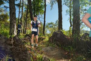 BIB: 3074
                            <button type="button" onclick="openModal(18935934)" class="btn btn-primary btn-sm float-right btn-popup" data-toggle="modal" data-target=".modal-high-quality">
                        <i class="fas fa-shopping-cart"></i> Add to Cart
                    </button>
                                            <button type="button" onclick="isThisMe(18935934, true)" class="btn btn-success btn-sm float-right btn-popup btn-isme hidden" data-toggle="tooltip" data-placement="bottom" title="นี่คือรูปของคุณใช่ไหม คลิกที่นี่เพื่อเอาเข้าอัลบั้ม">
                        <i class="fas fa-plus"></i> Add to album
                    </button>
                    <button type="button" onclick="isThisMe(18935934, false)" class="btn btn-warning btn-sm float-right btn-popup btn-isnotme hidden">
                        <i class="fas fa-ban"></i> Remove from album
                    </button>