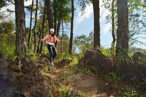 BIB: 
                            <button type="button" onclick="openModal(18944099)" class="btn btn-primary btn-sm float-right btn-popup" data-toggle="modal" data-target=".modal-high-quality">
                        <i class="fas fa-shopping-cart"></i> Add to Cart
                    </button>
                                            <button type="button" onclick="isThisMe(18944099, true)" class="btn btn-success btn-sm float-right btn-popup btn-isme hidden" data-toggle="tooltip" data-placement="bottom" title="นี่คือรูปของคุณใช่ไหม คลิกที่นี่เพื่อเอาเข้าอัลบั้ม">
                        <i class="fas fa-plus"></i> Add to album
                    </button>
                    <button type="button" onclick="isThisMe(18944099, false)" class="btn btn-warning btn-sm float-right btn-popup btn-isnotme hidden">
                        <i class="fas fa-ban"></i> Remove from album
                    </button>