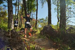 BIB: 
                            <button type="button" onclick="openModal(18937696)" class="btn btn-primary btn-sm float-right btn-popup" data-toggle="modal" data-target=".modal-high-quality">
                        <i class="fas fa-shopping-cart"></i> Add to Cart
                    </button>
                                            <button type="button" onclick="isThisMe(18937696, true)" class="btn btn-success btn-sm float-right btn-popup btn-isme hidden" data-toggle="tooltip" data-placement="bottom" title="นี่คือรูปของคุณใช่ไหม คลิกที่นี่เพื่อเอาเข้าอัลบั้ม">
                        <i class="fas fa-plus"></i> Add to album
                    </button>
                    <button type="button" onclick="isThisMe(18937696, false)" class="btn btn-warning btn-sm float-right btn-popup btn-isnotme hidden">
                        <i class="fas fa-ban"></i> Remove from album
                    </button>