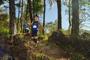 BIB: 
                            <button type="button" onclick="openModal(18936513)" class="btn btn-primary btn-sm float-right btn-popup" data-toggle="modal" data-target=".modal-high-quality">
                        <i class="fas fa-shopping-cart"></i> Add to Cart
                    </button>
                                            <button type="button" onclick="isThisMe(18936513, true)" class="btn btn-success btn-sm float-right btn-popup btn-isme hidden" data-toggle="tooltip" data-placement="bottom" title="นี่คือรูปของคุณใช่ไหม คลิกที่นี่เพื่อเอาเข้าอัลบั้ม">
                        <i class="fas fa-plus"></i> Add to album
                    </button>
                    <button type="button" onclick="isThisMe(18936513, false)" class="btn btn-warning btn-sm float-right btn-popup btn-isnotme hidden">
                        <i class="fas fa-ban"></i> Remove from album
                    </button>