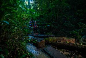 BIB: 
                            <button type="button" onclick="openModal(18935970)" class="btn btn-primary btn-sm float-right btn-popup" data-toggle="modal" data-target=".modal-high-quality">
                        <i class="fas fa-shopping-cart"></i> Add to Cart
                    </button>
                                            <button type="button" onclick="isThisMe(18935970, true)" class="btn btn-success btn-sm float-right btn-popup btn-isme hidden" data-toggle="tooltip" data-placement="bottom" title="นี่คือรูปของคุณใช่ไหม คลิกที่นี่เพื่อเอาเข้าอัลบั้ม">
                        <i class="fas fa-plus"></i> Add to album
                    </button>
                    <button type="button" onclick="isThisMe(18935970, false)" class="btn btn-warning btn-sm float-right btn-popup btn-isnotme hidden">
                        <i class="fas fa-ban"></i> Remove from album
                    </button>