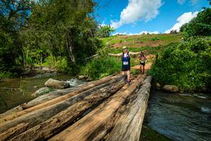 BIB: 
                            <button type="button" onclick="openModal(18941330)" class="btn btn-primary btn-sm float-right btn-popup" data-toggle="modal" data-target=".modal-high-quality">
                        <i class="fas fa-shopping-cart"></i> Add to Cart
                    </button>
                                            <button type="button" onclick="isThisMe(18941330, true)" class="btn btn-success btn-sm float-right btn-popup btn-isme hidden" data-toggle="tooltip" data-placement="bottom" title="นี่คือรูปของคุณใช่ไหม คลิกที่นี่เพื่อเอาเข้าอัลบั้ม">
                        <i class="fas fa-plus"></i> Add to album
                    </button>
                    <button type="button" onclick="isThisMe(18941330, false)" class="btn btn-warning btn-sm float-right btn-popup btn-isnotme hidden">
                        <i class="fas fa-ban"></i> Remove from album
                    </button>