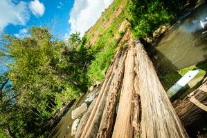 BIB: 
                            <button type="button" onclick="openModal(18938914)" class="btn btn-primary btn-sm float-right btn-popup" data-toggle="modal" data-target=".modal-high-quality">
                        <i class="fas fa-shopping-cart"></i> Add to Cart
                    </button>
                                            <button type="button" onclick="isThisMe(18938914, true)" class="btn btn-success btn-sm float-right btn-popup btn-isme hidden" data-toggle="tooltip" data-placement="bottom" title="นี่คือรูปของคุณใช่ไหม คลิกที่นี่เพื่อเอาเข้าอัลบั้ม">
                        <i class="fas fa-plus"></i> Add to album
                    </button>
                    <button type="button" onclick="isThisMe(18938914, false)" class="btn btn-warning btn-sm float-right btn-popup btn-isnotme hidden">
                        <i class="fas fa-ban"></i> Remove from album
                    </button>