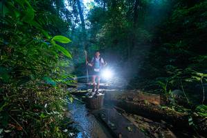 BIB: 
                            <button type="button" onclick="openModal(18937043)" class="btn btn-primary btn-sm float-right btn-popup" data-toggle="modal" data-target=".modal-high-quality">
                        <i class="fas fa-shopping-cart"></i> Add to Cart
                    </button>
                                            <button type="button" onclick="isThisMe(18937043, true)" class="btn btn-success btn-sm float-right btn-popup btn-isme hidden" data-toggle="tooltip" data-placement="bottom" title="นี่คือรูปของคุณใช่ไหม คลิกที่นี่เพื่อเอาเข้าอัลบั้ม">
                        <i class="fas fa-plus"></i> Add to album
                    </button>
                    <button type="button" onclick="isThisMe(18937043, false)" class="btn btn-warning btn-sm float-right btn-popup btn-isnotme hidden">
                        <i class="fas fa-ban"></i> Remove from album
                    </button>