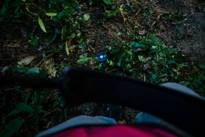 BIB: 
                            <button type="button" onclick="openModal(18938540)" class="btn btn-primary btn-sm float-right btn-popup" data-toggle="modal" data-target=".modal-high-quality">
                        <i class="fas fa-shopping-cart"></i> Add to Cart
                    </button>
                                            <button type="button" onclick="isThisMe(18938540, true)" class="btn btn-success btn-sm float-right btn-popup btn-isme hidden" data-toggle="tooltip" data-placement="bottom" title="นี่คือรูปของคุณใช่ไหม คลิกที่นี่เพื่อเอาเข้าอัลบั้ม">
                        <i class="fas fa-plus"></i> Add to album
                    </button>
                    <button type="button" onclick="isThisMe(18938540, false)" class="btn btn-warning btn-sm float-right btn-popup btn-isnotme hidden">
                        <i class="fas fa-ban"></i> Remove from album
                    </button>