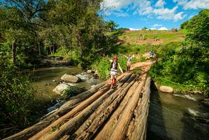 BIB: 
                            <button type="button" onclick="openModal(18942554)" class="btn btn-primary btn-sm float-right btn-popup" data-toggle="modal" data-target=".modal-high-quality">
                        <i class="fas fa-shopping-cart"></i> Add to Cart
                    </button>
                                            <button type="button" onclick="isThisMe(18942554, true)" class="btn btn-success btn-sm float-right btn-popup btn-isme hidden" data-toggle="tooltip" data-placement="bottom" title="นี่คือรูปของคุณใช่ไหม คลิกที่นี่เพื่อเอาเข้าอัลบั้ม">
                        <i class="fas fa-plus"></i> Add to album
                    </button>
                    <button type="button" onclick="isThisMe(18942554, false)" class="btn btn-warning btn-sm float-right btn-popup btn-isnotme hidden">
                        <i class="fas fa-ban"></i> Remove from album
                    </button>