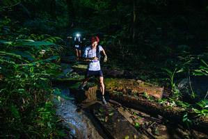 BIB: 
                            <button type="button" onclick="openModal(18933583)" class="btn btn-primary btn-sm float-right btn-popup" data-toggle="modal" data-target=".modal-high-quality">
                        <i class="fas fa-shopping-cart"></i> Add to Cart
                    </button>
                                            <button type="button" onclick="isThisMe(18933583, true)" class="btn btn-success btn-sm float-right btn-popup btn-isme hidden" data-toggle="tooltip" data-placement="bottom" title="นี่คือรูปของคุณใช่ไหม คลิกที่นี่เพื่อเอาเข้าอัลบั้ม">
                        <i class="fas fa-plus"></i> Add to album
                    </button>
                    <button type="button" onclick="isThisMe(18933583, false)" class="btn btn-warning btn-sm float-right btn-popup btn-isnotme hidden">
                        <i class="fas fa-ban"></i> Remove from album
                    </button>