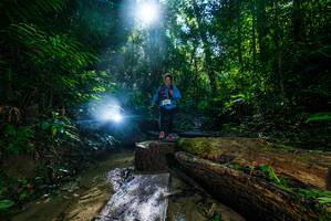 BIB: 
                            <button type="button" onclick="openModal(18936107)" class="btn btn-primary btn-sm float-right btn-popup" data-toggle="modal" data-target=".modal-high-quality">
                        <i class="fas fa-shopping-cart"></i> Add to Cart
                    </button>
                                            <button type="button" onclick="isThisMe(18936107, true)" class="btn btn-success btn-sm float-right btn-popup btn-isme hidden" data-toggle="tooltip" data-placement="bottom" title="นี่คือรูปของคุณใช่ไหม คลิกที่นี่เพื่อเอาเข้าอัลบั้ม">
                        <i class="fas fa-plus"></i> Add to album
                    </button>
                    <button type="button" onclick="isThisMe(18936107, false)" class="btn btn-warning btn-sm float-right btn-popup btn-isnotme hidden">
                        <i class="fas fa-ban"></i> Remove from album
                    </button>