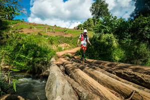 BIB: 
                            <button type="button" onclick="openModal(18942306)" class="btn btn-primary btn-sm float-right btn-popup" data-toggle="modal" data-target=".modal-high-quality">
                        <i class="fas fa-shopping-cart"></i> Add to Cart
                    </button>
                                            <button type="button" onclick="isThisMe(18942306, true)" class="btn btn-success btn-sm float-right btn-popup btn-isme hidden" data-toggle="tooltip" data-placement="bottom" title="นี่คือรูปของคุณใช่ไหม คลิกที่นี่เพื่อเอาเข้าอัลบั้ม">
                        <i class="fas fa-plus"></i> Add to album
                    </button>
                    <button type="button" onclick="isThisMe(18942306, false)" class="btn btn-warning btn-sm float-right btn-popup btn-isnotme hidden">
                        <i class="fas fa-ban"></i> Remove from album
                    </button>