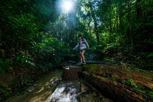 BIB: 
                            <button type="button" onclick="openModal(18936346)" class="btn btn-primary btn-sm float-right btn-popup" data-toggle="modal" data-target=".modal-high-quality">
                        <i class="fas fa-shopping-cart"></i> Add to Cart
                    </button>
                                            <button type="button" onclick="isThisMe(18936346, true)" class="btn btn-success btn-sm float-right btn-popup btn-isme hidden" data-toggle="tooltip" data-placement="bottom" title="นี่คือรูปของคุณใช่ไหม คลิกที่นี่เพื่อเอาเข้าอัลบั้ม">
                        <i class="fas fa-plus"></i> Add to album
                    </button>
                    <button type="button" onclick="isThisMe(18936346, false)" class="btn btn-warning btn-sm float-right btn-popup btn-isnotme hidden">
                        <i class="fas fa-ban"></i> Remove from album
                    </button>