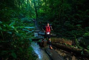 BIB: 
                            <button type="button" onclick="openModal(18940408)" class="btn btn-primary btn-sm float-right btn-popup" data-toggle="modal" data-target=".modal-high-quality">
                        <i class="fas fa-shopping-cart"></i> Add to Cart
                    </button>
                                            <button type="button" onclick="isThisMe(18940408, true)" class="btn btn-success btn-sm float-right btn-popup btn-isme hidden" data-toggle="tooltip" data-placement="bottom" title="นี่คือรูปของคุณใช่ไหม คลิกที่นี่เพื่อเอาเข้าอัลบั้ม">
                        <i class="fas fa-plus"></i> Add to album
                    </button>
                    <button type="button" onclick="isThisMe(18940408, false)" class="btn btn-warning btn-sm float-right btn-popup btn-isnotme hidden">
                        <i class="fas fa-ban"></i> Remove from album
                    </button>