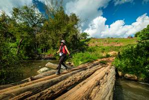 BIB: 
                            <button type="button" onclick="openModal(18940425)" class="btn btn-primary btn-sm float-right btn-popup" data-toggle="modal" data-target=".modal-high-quality">
                        <i class="fas fa-shopping-cart"></i> Add to Cart
                    </button>
                                            <button type="button" onclick="isThisMe(18940425, true)" class="btn btn-success btn-sm float-right btn-popup btn-isme hidden" data-toggle="tooltip" data-placement="bottom" title="นี่คือรูปของคุณใช่ไหม คลิกที่นี่เพื่อเอาเข้าอัลบั้ม">
                        <i class="fas fa-plus"></i> Add to album
                    </button>
                    <button type="button" onclick="isThisMe(18940425, false)" class="btn btn-warning btn-sm float-right btn-popup btn-isnotme hidden">
                        <i class="fas fa-ban"></i> Remove from album
                    </button>