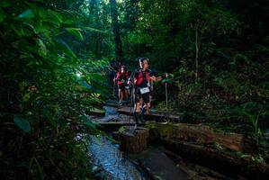 BIB: 
                            <button type="button" onclick="openModal(18937515)" class="btn btn-primary btn-sm float-right btn-popup" data-toggle="modal" data-target=".modal-high-quality">
                        <i class="fas fa-shopping-cart"></i> Add to Cart
                    </button>
                                            <button type="button" onclick="isThisMe(18937515, true)" class="btn btn-success btn-sm float-right btn-popup btn-isme hidden" data-toggle="tooltip" data-placement="bottom" title="นี่คือรูปของคุณใช่ไหม คลิกที่นี่เพื่อเอาเข้าอัลบั้ม">
                        <i class="fas fa-plus"></i> Add to album
                    </button>
                    <button type="button" onclick="isThisMe(18937515, false)" class="btn btn-warning btn-sm float-right btn-popup btn-isnotme hidden">
                        <i class="fas fa-ban"></i> Remove from album
                    </button>