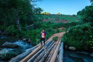 BIB: 
                            <button type="button" onclick="openModal(18943769)" class="btn btn-primary btn-sm float-right btn-popup" data-toggle="modal" data-target=".modal-high-quality">
                        <i class="fas fa-shopping-cart"></i> Add to Cart
                    </button>
                                            <button type="button" onclick="isThisMe(18943769, true)" class="btn btn-success btn-sm float-right btn-popup btn-isme hidden" data-toggle="tooltip" data-placement="bottom" title="นี่คือรูปของคุณใช่ไหม คลิกที่นี่เพื่อเอาเข้าอัลบั้ม">
                        <i class="fas fa-plus"></i> Add to album
                    </button>
                    <button type="button" onclick="isThisMe(18943769, false)" class="btn btn-warning btn-sm float-right btn-popup btn-isnotme hidden">
                        <i class="fas fa-ban"></i> Remove from album
                    </button>