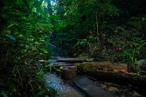 BIB: 
                            <button type="button" onclick="openModal(18937212)" class="btn btn-primary btn-sm float-right btn-popup" data-toggle="modal" data-target=".modal-high-quality">
                        <i class="fas fa-shopping-cart"></i> Add to Cart
                    </button>
                                            <button type="button" onclick="isThisMe(18937212, true)" class="btn btn-success btn-sm float-right btn-popup btn-isme hidden" data-toggle="tooltip" data-placement="bottom" title="นี่คือรูปของคุณใช่ไหม คลิกที่นี่เพื่อเอาเข้าอัลบั้ม">
                        <i class="fas fa-plus"></i> Add to album
                    </button>
                    <button type="button" onclick="isThisMe(18937212, false)" class="btn btn-warning btn-sm float-right btn-popup btn-isnotme hidden">
                        <i class="fas fa-ban"></i> Remove from album
                    </button>