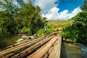 BIB: 
                            <button type="button" onclick="openModal(18940474)" class="btn btn-primary btn-sm float-right btn-popup" data-toggle="modal" data-target=".modal-high-quality">
                        <i class="fas fa-shopping-cart"></i> Add to Cart
                    </button>
                                            <button type="button" onclick="isThisMe(18940474, true)" class="btn btn-success btn-sm float-right btn-popup btn-isme hidden" data-toggle="tooltip" data-placement="bottom" title="นี่คือรูปของคุณใช่ไหม คลิกที่นี่เพื่อเอาเข้าอัลบั้ม">
                        <i class="fas fa-plus"></i> Add to album
                    </button>
                    <button type="button" onclick="isThisMe(18940474, false)" class="btn btn-warning btn-sm float-right btn-popup btn-isnotme hidden">
                        <i class="fas fa-ban"></i> Remove from album
                    </button>