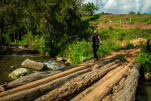 BIB: 
                            <button type="button" onclick="openModal(18939908)" class="btn btn-primary btn-sm float-right btn-popup" data-toggle="modal" data-target=".modal-high-quality">
                        <i class="fas fa-shopping-cart"></i> Add to Cart
                    </button>
                                            <button type="button" onclick="isThisMe(18939908, true)" class="btn btn-success btn-sm float-right btn-popup btn-isme hidden" data-toggle="tooltip" data-placement="bottom" title="นี่คือรูปของคุณใช่ไหม คลิกที่นี่เพื่อเอาเข้าอัลบั้ม">
                        <i class="fas fa-plus"></i> Add to album
                    </button>
                    <button type="button" onclick="isThisMe(18939908, false)" class="btn btn-warning btn-sm float-right btn-popup btn-isnotme hidden">
                        <i class="fas fa-ban"></i> Remove from album
                    </button>