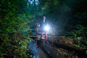 BIB: 
                            <button type="button" onclick="openModal(18937586)" class="btn btn-primary btn-sm float-right btn-popup" data-toggle="modal" data-target=".modal-high-quality">
                        <i class="fas fa-shopping-cart"></i> Add to Cart
                    </button>
                                            <button type="button" onclick="isThisMe(18937586, true)" class="btn btn-success btn-sm float-right btn-popup btn-isme hidden" data-toggle="tooltip" data-placement="bottom" title="นี่คือรูปของคุณใช่ไหม คลิกที่นี่เพื่อเอาเข้าอัลบั้ม">
                        <i class="fas fa-plus"></i> Add to album
                    </button>
                    <button type="button" onclick="isThisMe(18937586, false)" class="btn btn-warning btn-sm float-right btn-popup btn-isnotme hidden">
                        <i class="fas fa-ban"></i> Remove from album
                    </button>