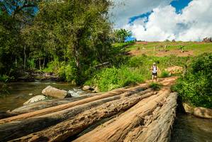 BIB: 
                            <button type="button" onclick="openModal(18941749)" class="btn btn-primary btn-sm float-right btn-popup" data-toggle="modal" data-target=".modal-high-quality">
                        <i class="fas fa-shopping-cart"></i> Add to Cart
                    </button>
                                            <button type="button" onclick="isThisMe(18941749, true)" class="btn btn-success btn-sm float-right btn-popup btn-isme hidden" data-toggle="tooltip" data-placement="bottom" title="นี่คือรูปของคุณใช่ไหม คลิกที่นี่เพื่อเอาเข้าอัลบั้ม">
                        <i class="fas fa-plus"></i> Add to album
                    </button>
                    <button type="button" onclick="isThisMe(18941749, false)" class="btn btn-warning btn-sm float-right btn-popup btn-isnotme hidden">
                        <i class="fas fa-ban"></i> Remove from album
                    </button>