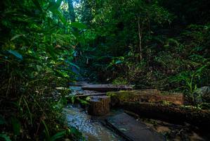 BIB: 
                            <button type="button" onclick="openModal(18937303)" class="btn btn-primary btn-sm float-right btn-popup" data-toggle="modal" data-target=".modal-high-quality">
                        <i class="fas fa-shopping-cart"></i> Add to Cart
                    </button>
                                            <button type="button" onclick="isThisMe(18937303, true)" class="btn btn-success btn-sm float-right btn-popup btn-isme hidden" data-toggle="tooltip" data-placement="bottom" title="นี่คือรูปของคุณใช่ไหม คลิกที่นี่เพื่อเอาเข้าอัลบั้ม">
                        <i class="fas fa-plus"></i> Add to album
                    </button>
                    <button type="button" onclick="isThisMe(18937303, false)" class="btn btn-warning btn-sm float-right btn-popup btn-isnotme hidden">
                        <i class="fas fa-ban"></i> Remove from album
                    </button>