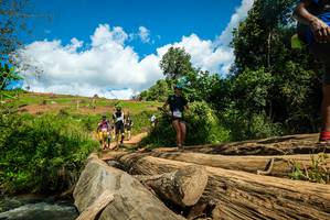 BIB: 
                            <button type="button" onclick="openModal(18942258)" class="btn btn-primary btn-sm float-right btn-popup" data-toggle="modal" data-target=".modal-high-quality">
                        <i class="fas fa-shopping-cart"></i> Add to Cart
                    </button>
                                            <button type="button" onclick="isThisMe(18942258, true)" class="btn btn-success btn-sm float-right btn-popup btn-isme hidden" data-toggle="tooltip" data-placement="bottom" title="นี่คือรูปของคุณใช่ไหม คลิกที่นี่เพื่อเอาเข้าอัลบั้ม">
                        <i class="fas fa-plus"></i> Add to album
                    </button>
                    <button type="button" onclick="isThisMe(18942258, false)" class="btn btn-warning btn-sm float-right btn-popup btn-isnotme hidden">
                        <i class="fas fa-ban"></i> Remove from album
                    </button>