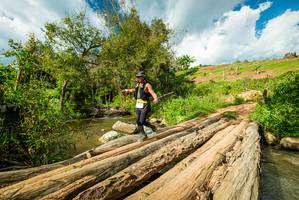 BIB: 
                            <button type="button" onclick="openModal(18940622)" class="btn btn-primary btn-sm float-right btn-popup" data-toggle="modal" data-target=".modal-high-quality">
                        <i class="fas fa-shopping-cart"></i> Add to Cart
                    </button>
                                            <button type="button" onclick="isThisMe(18940622, true)" class="btn btn-success btn-sm float-right btn-popup btn-isme hidden" data-toggle="tooltip" data-placement="bottom" title="นี่คือรูปของคุณใช่ไหม คลิกที่นี่เพื่อเอาเข้าอัลบั้ม">
                        <i class="fas fa-plus"></i> Add to album
                    </button>
                    <button type="button" onclick="isThisMe(18940622, false)" class="btn btn-warning btn-sm float-right btn-popup btn-isnotme hidden">
                        <i class="fas fa-ban"></i> Remove from album
                    </button>