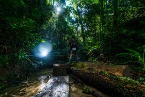 BIB: 
                            <button type="button" onclick="openModal(18936432)" class="btn btn-primary btn-sm float-right btn-popup" data-toggle="modal" data-target=".modal-high-quality">
                        <i class="fas fa-shopping-cart"></i> Add to Cart
                    </button>
                                            <button type="button" onclick="isThisMe(18936432, true)" class="btn btn-success btn-sm float-right btn-popup btn-isme hidden" data-toggle="tooltip" data-placement="bottom" title="นี่คือรูปของคุณใช่ไหม คลิกที่นี่เพื่อเอาเข้าอัลบั้ม">
                        <i class="fas fa-plus"></i> Add to album
                    </button>
                    <button type="button" onclick="isThisMe(18936432, false)" class="btn btn-warning btn-sm float-right btn-popup btn-isnotme hidden">
                        <i class="fas fa-ban"></i> Remove from album
                    </button>