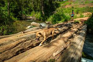 BIB: 
                            <button type="button" onclick="openModal(18941723)" class="btn btn-primary btn-sm float-right btn-popup" data-toggle="modal" data-target=".modal-high-quality">
                        <i class="fas fa-shopping-cart"></i> Add to Cart
                    </button>
                                            <button type="button" onclick="isThisMe(18941723, true)" class="btn btn-success btn-sm float-right btn-popup btn-isme hidden" data-toggle="tooltip" data-placement="bottom" title="นี่คือรูปของคุณใช่ไหม คลิกที่นี่เพื่อเอาเข้าอัลบั้ม">
                        <i class="fas fa-plus"></i> Add to album
                    </button>
                    <button type="button" onclick="isThisMe(18941723, false)" class="btn btn-warning btn-sm float-right btn-popup btn-isnotme hidden">
                        <i class="fas fa-ban"></i> Remove from album
                    </button>