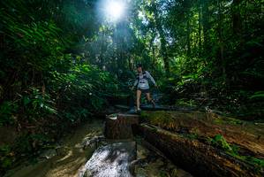 BIB: 
                            <button type="button" onclick="openModal(18936336)" class="btn btn-primary btn-sm float-right btn-popup" data-toggle="modal" data-target=".modal-high-quality">
                        <i class="fas fa-shopping-cart"></i> Add to Cart
                    </button>
                                            <button type="button" onclick="isThisMe(18936336, true)" class="btn btn-success btn-sm float-right btn-popup btn-isme hidden" data-toggle="tooltip" data-placement="bottom" title="นี่คือรูปของคุณใช่ไหม คลิกที่นี่เพื่อเอาเข้าอัลบั้ม">
                        <i class="fas fa-plus"></i> Add to album
                    </button>
                    <button type="button" onclick="isThisMe(18936336, false)" class="btn btn-warning btn-sm float-right btn-popup btn-isnotme hidden">
                        <i class="fas fa-ban"></i> Remove from album
                    </button>