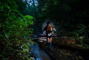 BIB: 
                            <button type="button" onclick="openModal(18937688)" class="btn btn-primary btn-sm float-right btn-popup" data-toggle="modal" data-target=".modal-high-quality">
                        <i class="fas fa-shopping-cart"></i> Add to Cart
                    </button>
                                            <button type="button" onclick="isThisMe(18937688, true)" class="btn btn-success btn-sm float-right btn-popup btn-isme hidden" data-toggle="tooltip" data-placement="bottom" title="นี่คือรูปของคุณใช่ไหม คลิกที่นี่เพื่อเอาเข้าอัลบั้ม">
                        <i class="fas fa-plus"></i> Add to album
                    </button>
                    <button type="button" onclick="isThisMe(18937688, false)" class="btn btn-warning btn-sm float-right btn-popup btn-isnotme hidden">
                        <i class="fas fa-ban"></i> Remove from album
                    </button>