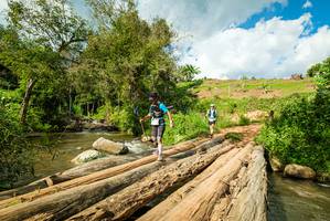 BIB: 
                            <button type="button" onclick="openModal(18940869)" class="btn btn-primary btn-sm float-right btn-popup" data-toggle="modal" data-target=".modal-high-quality">
                        <i class="fas fa-shopping-cart"></i> Add to Cart
                    </button>
                                            <button type="button" onclick="isThisMe(18940869, true)" class="btn btn-success btn-sm float-right btn-popup btn-isme hidden" data-toggle="tooltip" data-placement="bottom" title="นี่คือรูปของคุณใช่ไหม คลิกที่นี่เพื่อเอาเข้าอัลบั้ม">
                        <i class="fas fa-plus"></i> Add to album
                    </button>
                    <button type="button" onclick="isThisMe(18940869, false)" class="btn btn-warning btn-sm float-right btn-popup btn-isnotme hidden">
                        <i class="fas fa-ban"></i> Remove from album
                    </button>