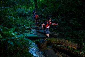 BIB: 
                            <button type="button" onclick="openModal(18938696)" class="btn btn-primary btn-sm float-right btn-popup" data-toggle="modal" data-target=".modal-high-quality">
                        <i class="fas fa-shopping-cart"></i> Add to Cart
                    </button>
                                            <button type="button" onclick="isThisMe(18938696, true)" class="btn btn-success btn-sm float-right btn-popup btn-isme hidden" data-toggle="tooltip" data-placement="bottom" title="นี่คือรูปของคุณใช่ไหม คลิกที่นี่เพื่อเอาเข้าอัลบั้ม">
                        <i class="fas fa-plus"></i> Add to album
                    </button>
                    <button type="button" onclick="isThisMe(18938696, false)" class="btn btn-warning btn-sm float-right btn-popup btn-isnotme hidden">
                        <i class="fas fa-ban"></i> Remove from album
                    </button>