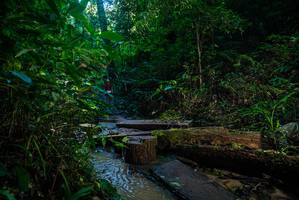 BIB: 
                            <button type="button" onclick="openModal(18937470)" class="btn btn-primary btn-sm float-right btn-popup" data-toggle="modal" data-target=".modal-high-quality">
                        <i class="fas fa-shopping-cart"></i> Add to Cart
                    </button>
                                            <button type="button" onclick="isThisMe(18937470, true)" class="btn btn-success btn-sm float-right btn-popup btn-isme hidden" data-toggle="tooltip" data-placement="bottom" title="นี่คือรูปของคุณใช่ไหม คลิกที่นี่เพื่อเอาเข้าอัลบั้ม">
                        <i class="fas fa-plus"></i> Add to album
                    </button>
                    <button type="button" onclick="isThisMe(18937470, false)" class="btn btn-warning btn-sm float-right btn-popup btn-isnotme hidden">
                        <i class="fas fa-ban"></i> Remove from album
                    </button>