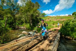 BIB: 
                            <button type="button" onclick="openModal(18941411)" class="btn btn-primary btn-sm float-right btn-popup" data-toggle="modal" data-target=".modal-high-quality">
                        <i class="fas fa-shopping-cart"></i> Add to Cart
                    </button>
                                            <button type="button" onclick="isThisMe(18941411, true)" class="btn btn-success btn-sm float-right btn-popup btn-isme hidden" data-toggle="tooltip" data-placement="bottom" title="นี่คือรูปของคุณใช่ไหม คลิกที่นี่เพื่อเอาเข้าอัลบั้ม">
                        <i class="fas fa-plus"></i> Add to album
                    </button>
                    <button type="button" onclick="isThisMe(18941411, false)" class="btn btn-warning btn-sm float-right btn-popup btn-isnotme hidden">
                        <i class="fas fa-ban"></i> Remove from album
                    </button>