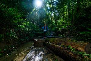 BIB: 
                            <button type="button" onclick="openModal(18936057)" class="btn btn-primary btn-sm float-right btn-popup" data-toggle="modal" data-target=".modal-high-quality">
                        <i class="fas fa-shopping-cart"></i> Add to Cart
                    </button>
                                            <button type="button" onclick="isThisMe(18936057, true)" class="btn btn-success btn-sm float-right btn-popup btn-isme hidden" data-toggle="tooltip" data-placement="bottom" title="นี่คือรูปของคุณใช่ไหม คลิกที่นี่เพื่อเอาเข้าอัลบั้ม">
                        <i class="fas fa-plus"></i> Add to album
                    </button>
                    <button type="button" onclick="isThisMe(18936057, false)" class="btn btn-warning btn-sm float-right btn-popup btn-isnotme hidden">
                        <i class="fas fa-ban"></i> Remove from album
                    </button>