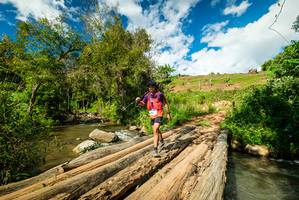 BIB: 
                            <button type="button" onclick="openModal(18937599)" class="btn btn-primary btn-sm float-right btn-popup" data-toggle="modal" data-target=".modal-high-quality">
                        <i class="fas fa-shopping-cart"></i> Add to Cart
                    </button>
                                            <button type="button" onclick="isThisMe(18937599, true)" class="btn btn-success btn-sm float-right btn-popup btn-isme hidden" data-toggle="tooltip" data-placement="bottom" title="นี่คือรูปของคุณใช่ไหม คลิกที่นี่เพื่อเอาเข้าอัลบั้ม">
                        <i class="fas fa-plus"></i> Add to album
                    </button>
                    <button type="button" onclick="isThisMe(18937599, false)" class="btn btn-warning btn-sm float-right btn-popup btn-isnotme hidden">
                        <i class="fas fa-ban"></i> Remove from album
                    </button>