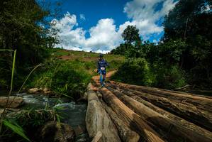 BIB: 
                            <button type="button" onclick="openModal(18942186)" class="btn btn-primary btn-sm float-right btn-popup" data-toggle="modal" data-target=".modal-high-quality">
                        <i class="fas fa-shopping-cart"></i> Add to Cart
                    </button>
                                            <button type="button" onclick="isThisMe(18942186, true)" class="btn btn-success btn-sm float-right btn-popup btn-isme hidden" data-toggle="tooltip" data-placement="bottom" title="นี่คือรูปของคุณใช่ไหม คลิกที่นี่เพื่อเอาเข้าอัลบั้ม">
                        <i class="fas fa-plus"></i> Add to album
                    </button>
                    <button type="button" onclick="isThisMe(18942186, false)" class="btn btn-warning btn-sm float-right btn-popup btn-isnotme hidden">
                        <i class="fas fa-ban"></i> Remove from album
                    </button>