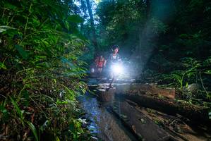 BIB: 
                            <button type="button" onclick="openModal(18937216)" class="btn btn-primary btn-sm float-right btn-popup" data-toggle="modal" data-target=".modal-high-quality">
                        <i class="fas fa-shopping-cart"></i> Add to Cart
                    </button>
                                            <button type="button" onclick="isThisMe(18937216, true)" class="btn btn-success btn-sm float-right btn-popup btn-isme hidden" data-toggle="tooltip" data-placement="bottom" title="นี่คือรูปของคุณใช่ไหม คลิกที่นี่เพื่อเอาเข้าอัลบั้ม">
                        <i class="fas fa-plus"></i> Add to album
                    </button>
                    <button type="button" onclick="isThisMe(18937216, false)" class="btn btn-warning btn-sm float-right btn-popup btn-isnotme hidden">
                        <i class="fas fa-ban"></i> Remove from album
                    </button>